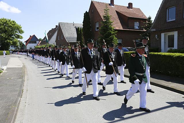 IMG 7119