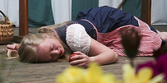 Schützenfest Milte 2018 IMG 2396 PSP2 HEIMATABEND
