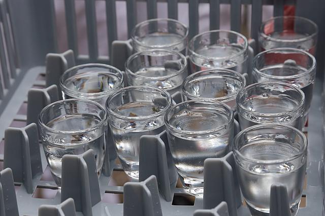IMG 4310 RAW1-