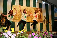 2012 heimatabend (147)