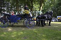IMG 7904