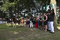 IMG 7907