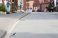 IMG 7990