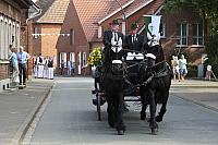 IMG 7994