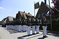 IMG 7104