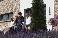 IMG 7197