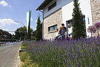 IMG 7198