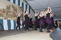 Schützenfest Milte 2017 IMG 3722 PSP2 Heimtabend