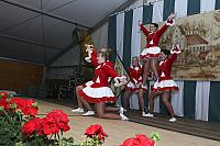 Schützenfest Milte 2017 IMG 3820 PSP3 Heimtabend
