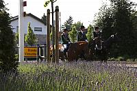 Schützenfest Milte 2017 IMG 4797 PSP2 Montag Krönung