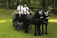 Schützenfest Milte 2017 IMG 4558 PSP2 Montag