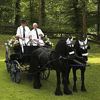Schützenfest Milte 2017 IMG 4558 PSP3 Montag