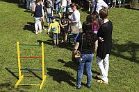 Schützenfest Milte 2017 IMG 4026 PSP2 Sonntag