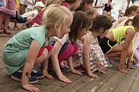 Schützenfest Milte 2017 IMG 4116 PSP2 Sonntag
