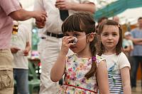 Schützenfest Milte 2017 IMG 4144 PSP2 Sonntag
