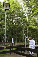 Schützenfest Milte 2017 IMG 4163 PSP2 Sonntag Hampelmannschuss