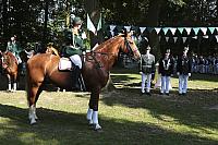 Schützenfest Milte 2018 IMG 3286 PSP2 Montag Krönung