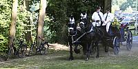 Schützenfest Milte 2018 IMG 3292 PSP2 Montag Krönung