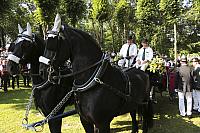 Schützenfest Milte 2018 IMG 3332 PSP2 Montag Krönung