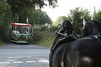Schützenfest Milte 2018 IMG 3343 PSP2 Montag Krönung