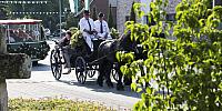 Schützenfest Milte 2018 IMG 3370 PSP2 Montag Krönung
