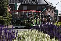 Schützenfest Milte 2018 IMG 2994 PSP2 Montag