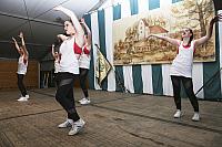 Schützenfest Milte 2019 IMG 2424 PSP2 HEIMATABEND