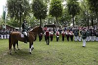 Schützenfest Milte 2019 IMG 3647 PSP2 MONTAG KRÖNUNG