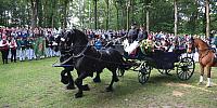 Schützenfest Milte 2019 IMG 3652 aus RAW2 MONTAG KRÖNUNG