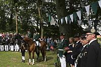 Schützenfest Milte 2019 IMG 3657 PSP2 MONTAG KRÖNUNG
