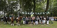Schützenfest Milte 2019 IMG 3683 PSP4 MONTAG KRÖNUNG