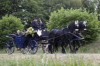 Schützenfest Milte 2019 IMG 3728 PSP2 MONTAG KRÖNUNG