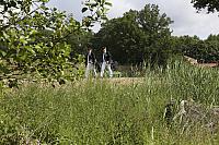 Schützenfest Milte 2019 IMG 3256 PSP2 MONTAG