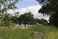 Schützenfest Milte 2019 IMG 3269 PSP2 MONTAG