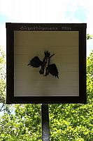 Schützenfest Milte 2019 IMG 3428 aus RAW1 MONTAG