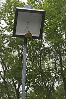 Schützenfest Milte 2019 IMG 2729 PSP2 SONNTAG