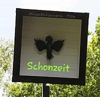 Schonzeit