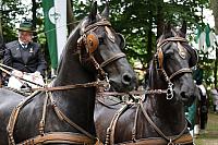 Schützenfest Milte 2022 IMG 9752 MONTAG KRÖNUNG RAW1-