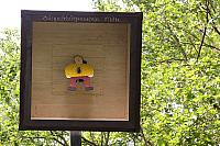 IMG 4552 RAW1-